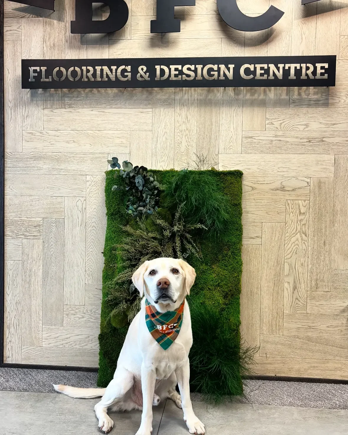 BFC Flooring showroom