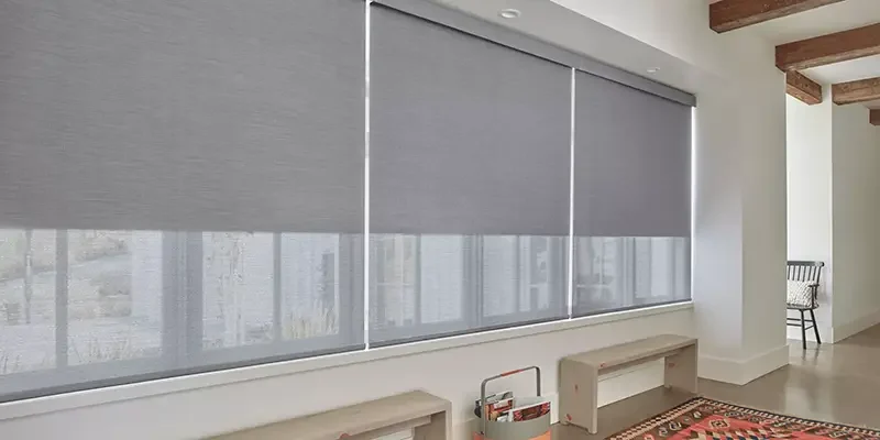 roller shades